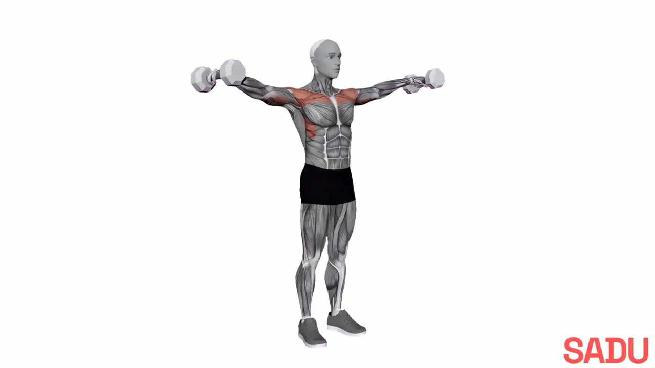 Demonstração em 3D do exercício Elevação lateral