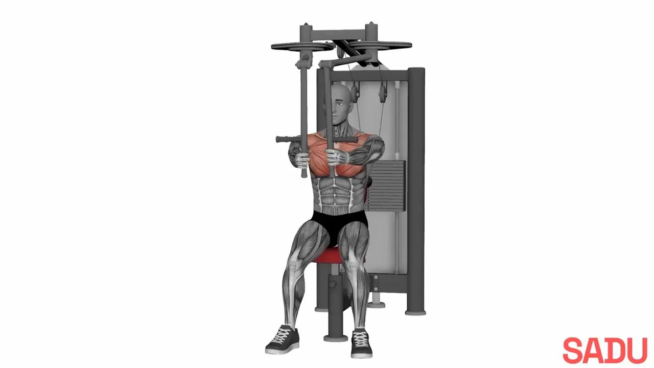 Demonstração em 3D do exercício Fly na máquina